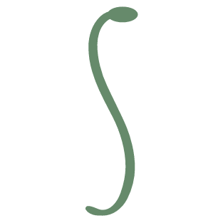 Sucuri